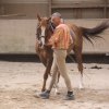 Juin 2010